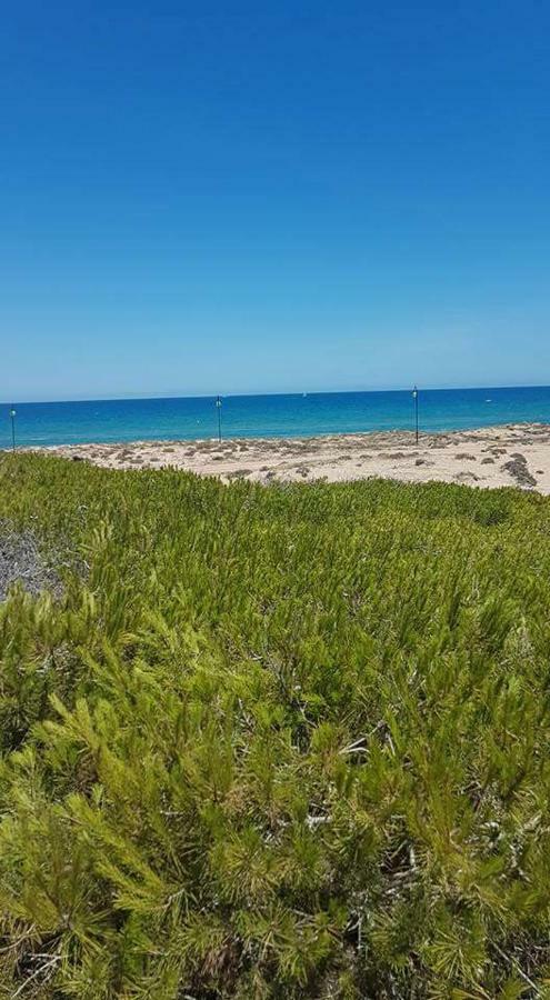 Apartament Anna La Mata  Esterno foto